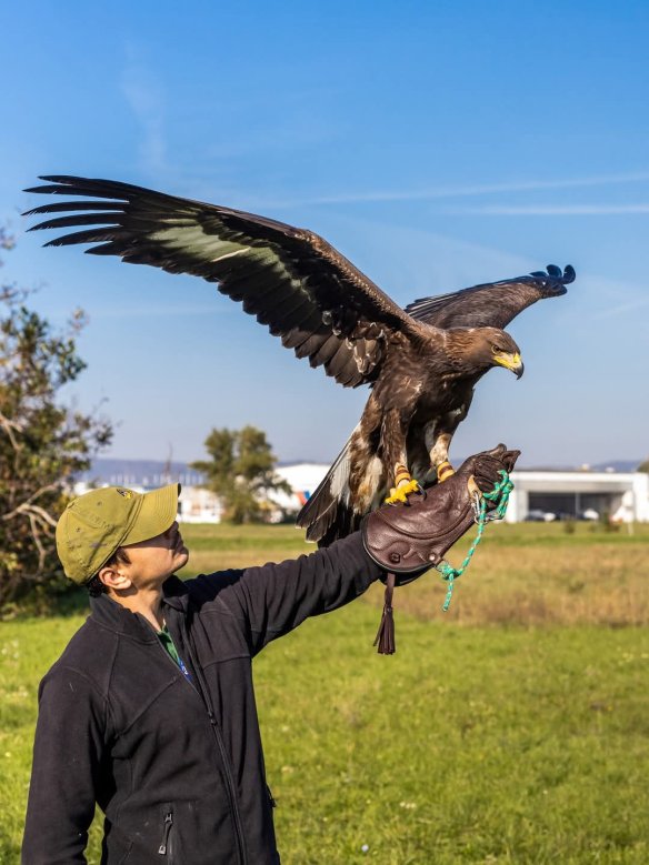 Biologická ochrana letiska dnes oslavuje 40 rokov od svojho vzniku