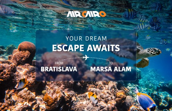 Marsa Alam: Your Year-Round Escape with Air Cairo